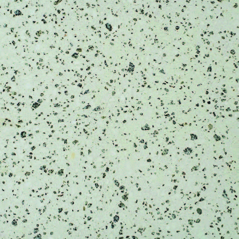 SA-500 interior granite aggregate terrazzo tile