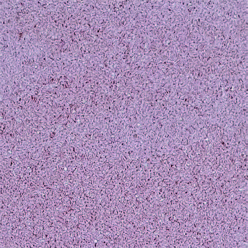 GLX-7 Silica