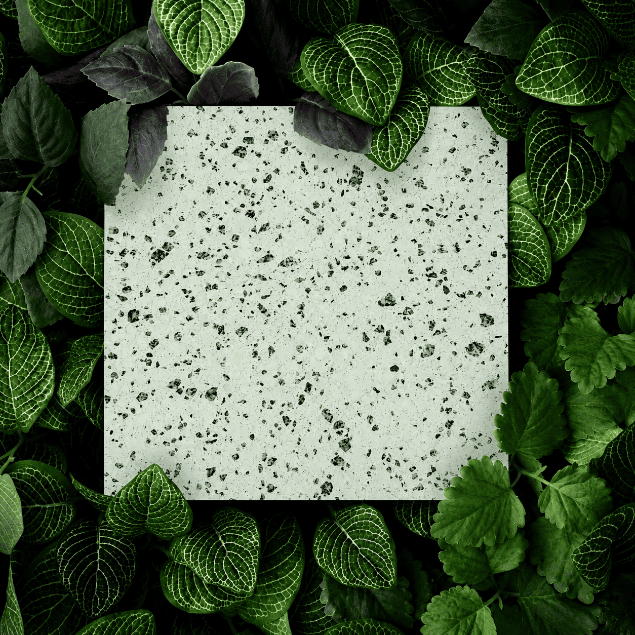 SA-500 interior granite aggregate terrazzo tile lifestyle image
